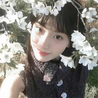小白菜奇案